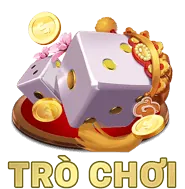 Giấy phép hoạt động K9CC